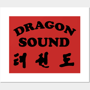 DRAGON SOUND - Miami Connection's Newest House Band! Posters and Art